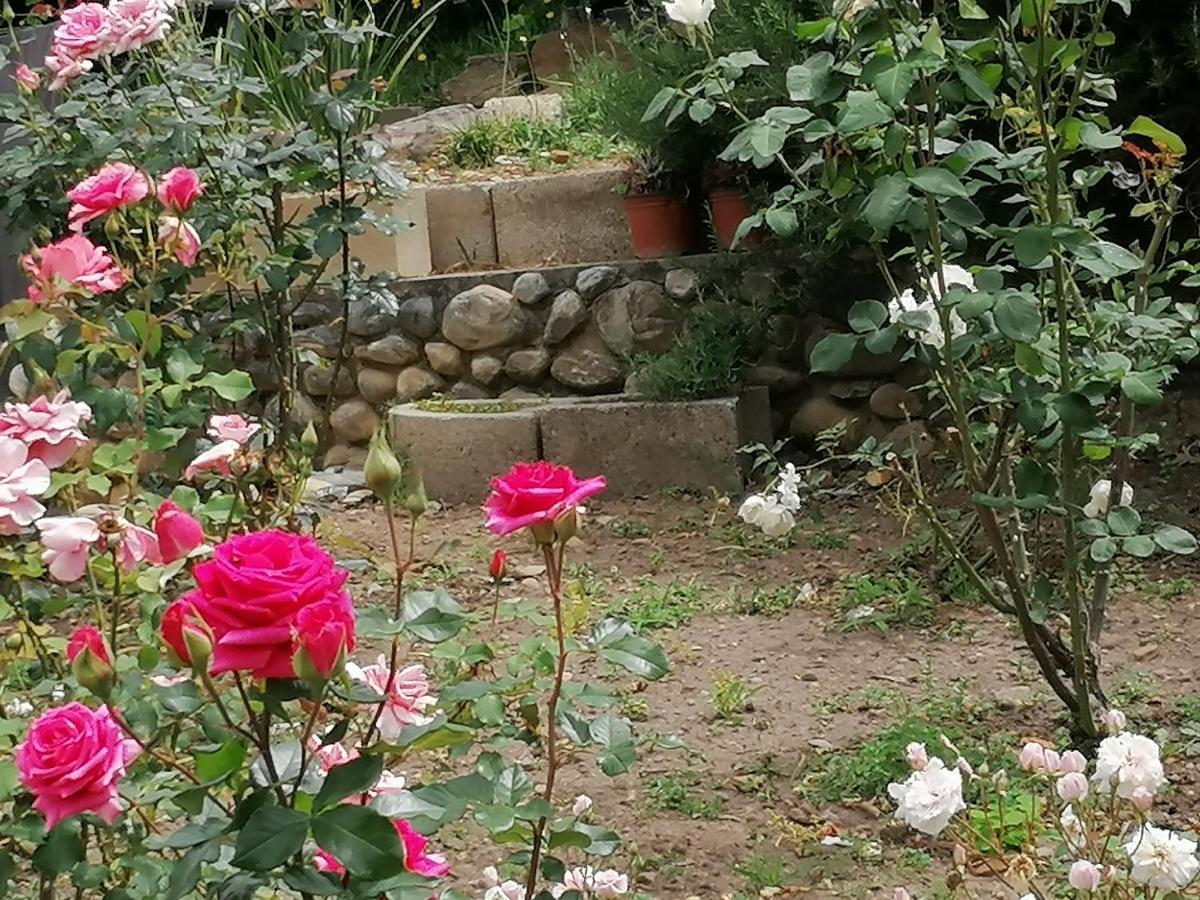 Aanhuizen Guest House Swellendam Luaran gambar